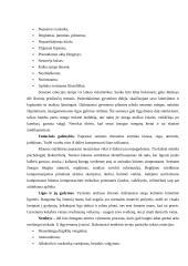 Senų žmonių gyvenimo kokybės vertinimas 16 puslapis