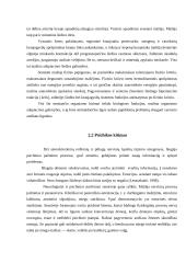 Senų žmonių gyvenimo kokybės vertinimas 7 puslapis
