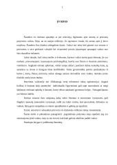 Smurto įtaka vaiko vystimuisi 2 puslapis