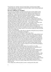 Tėvo reikšmė vaiko gyvenime 2 puslapis