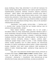 D. Kajokas ''Lietaus migla Lu kalne'' 4 puslapis