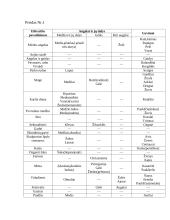 Gyvūnų ir augalų lietuvių įvaizdžiai H. Radausko eilėraščiuose 4 puslapis