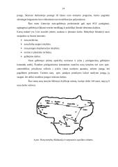 Nelaimingi atsitikimai vandenyje 13 puslapis
