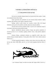 Nelaimingi atsitikimai vandenyje 3 puslapis