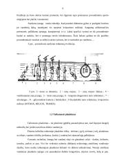 Nelaimingi atsitikimai vandenyje 8 puslapis