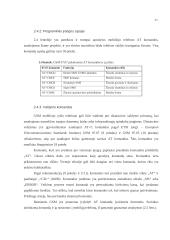 Padėties nustatymo duomenų perdavimo mobiliuoju ryšiu sistema 19 puslapis