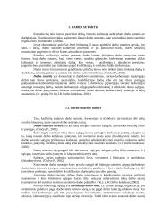 Darbo sutarties sudarymas ir jos turinys 4 puslapis