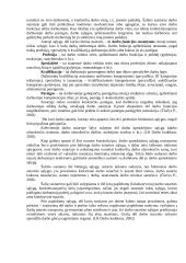 Darbo sutarties sudarymas ir jos turinys 5 puslapis
