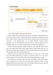 Statybos verslas elektroniniu formatu 10 puslapis