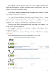 Statybos verslas elektroniniu formatu 12 puslapis