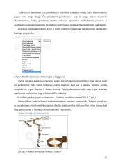 Statybos verslas elektroniniu formatu 16 puslapis