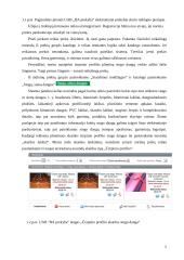 Statybos verslas elektroniniu formatu 4 puslapis