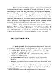 Flexicurity idėja darbo teisėje 12 puslapis