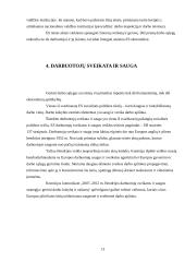 Flexicurity idėja darbo teisėje 13 puslapis