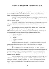 Flexicurity idėja darbo teisėje 14 puslapis