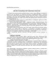 Kasos operacijų apskaita: UAB "Kauptė" 5 puslapis