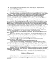 Kasos operacijų apskaita: UAB "Kauptė" 10 puslapis