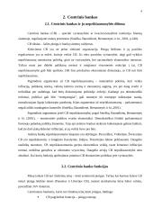Lietuvos centrinio banko vaidmuo užtikrinant Lito stabilumą 4 puslapis