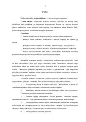 Lietuvos eksporto struktūra 3 puslapis