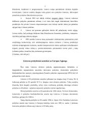 Lietuvos eksporto struktūra 5 puslapis