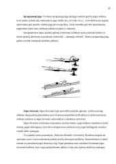 Plaukikų specialios jėgos ugdymo ypatumai 18 puslapis