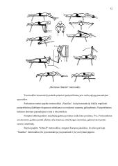 Plaukikų specialios jėgos ugdymo ypatumai 10 puslapis