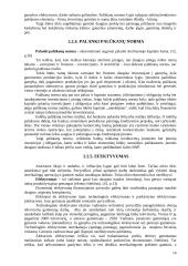 Rinkos ekonomikos sistema kaip vieninga poreikių tenkinimo ir kylančių prieštaravimų sprendimo forma 14 puslapis