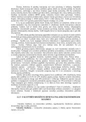 Rinkos ekonomikos sistema kaip vieninga poreikių tenkinimo ir kylančių prieštaravimų sprendimo forma 16 puslapis