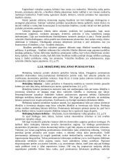 Rinkos ekonomikos sistema kaip vieninga poreikių tenkinimo ir kylančių prieštaravimų sprendimo forma 17 puslapis