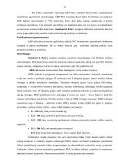 Šalies rizikos analizė. Baltijos šalių palyginimas 11 puslapis