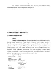 Šalies rizikos analizė. Baltijos šalių palyginimas 12 puslapis