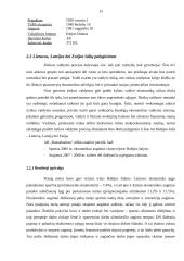 Šalies rizikos analizė. Baltijos šalių palyginimas 15 puslapis