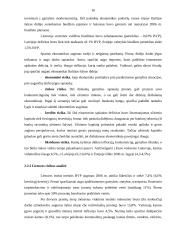 Šalies rizikos analizė. Baltijos šalių palyginimas 16 puslapis