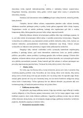 Šalies rizikos analizė. Baltijos šalių palyginimas 5 puslapis