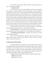 Šalies rizikos analizė. Baltijos šalių palyginimas 6 puslapis