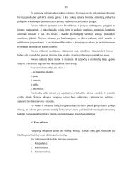 Šiuolaikinės reklamos galimybių taikymas turizmo įmonės versle 15 puslapis