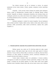 Šiuolaikinės reklamos galimybių taikymas turizmo įmonės versle 16 puslapis