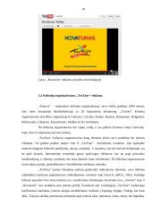 Šiuolaikinės reklamos galimybių taikymas turizmo įmonės versle 18 puslapis