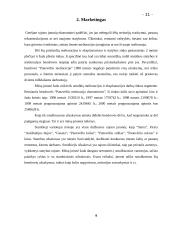 Verslo idėjos gyvybingumo pagrindimas ir jos įgyvendinimo tvarka 11 puslapis