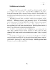 Verslo idėjos gyvybingumo pagrindimas ir jos įgyvendinimo tvarka 12 puslapis