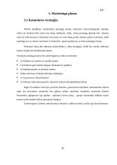 Verslo idėjos gyvybingumo pagrindimas ir jos įgyvendinimo tvarka 13 puslapis