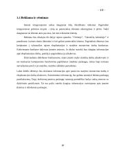 Verslo idėjos gyvybingumo pagrindimas ir jos įgyvendinimo tvarka 14 puslapis