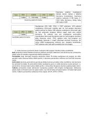 USB sąsajos tyrimas 11 puslapis