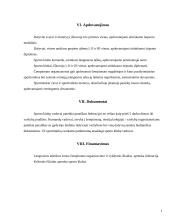 Lengvosios atletikos varžybų nuostatai 4 puslapis