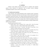 Verslo planas: konditerijos gaminiai UAB "Gardumėlis" 11 puslapis