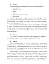 Verslo planas: konditerijos gaminiai UAB "Gardumėlis" 13 puslapis