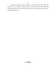 Verslo planas: konditerijos gaminiai UAB "Gardumėlis" 16 puslapis