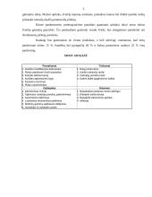 Verslo planas: konditerijos gaminiai UAB "Gardumėlis" 3 puslapis