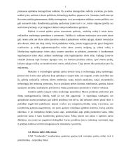 Verslo planas: konditerijos gaminiai UAB "Gardumėlis" 5 puslapis