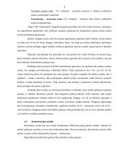 Verslo planas: konditerijos gaminiai UAB "Gardumėlis" 6 puslapis